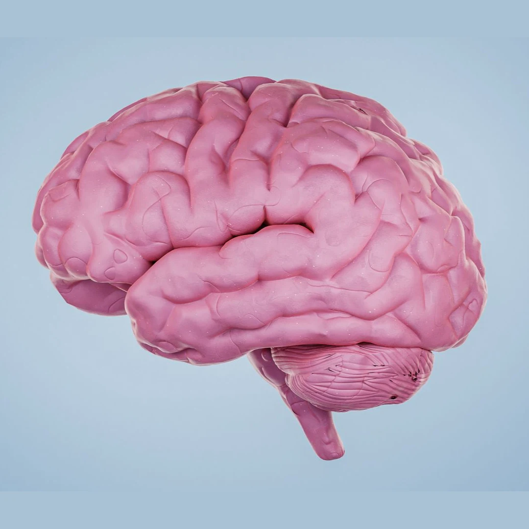 Cirugía de epilepsia refractaria: resección del foco epiléptico