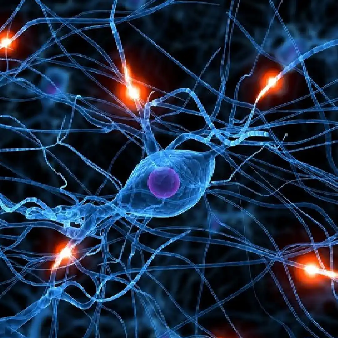 Diagnóstico y tratamiento de cefaleas crónicas y migraña refractaria
